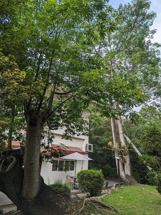 Flying Villa Nantou Екстериор снимка
