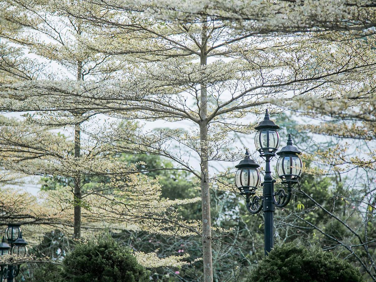 Flying Villa Nantou Екстериор снимка